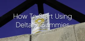 Delta 9 Gummies on Wall banner image for how to use delta 9 gummies