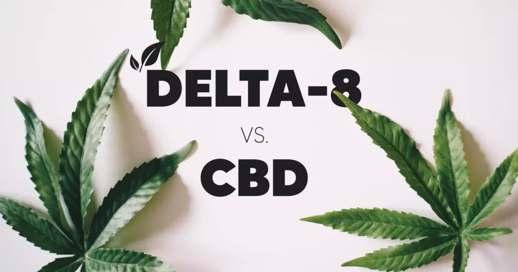 Delta 8 VS CBD: What’s The Difference? | Pinnacle Hemp