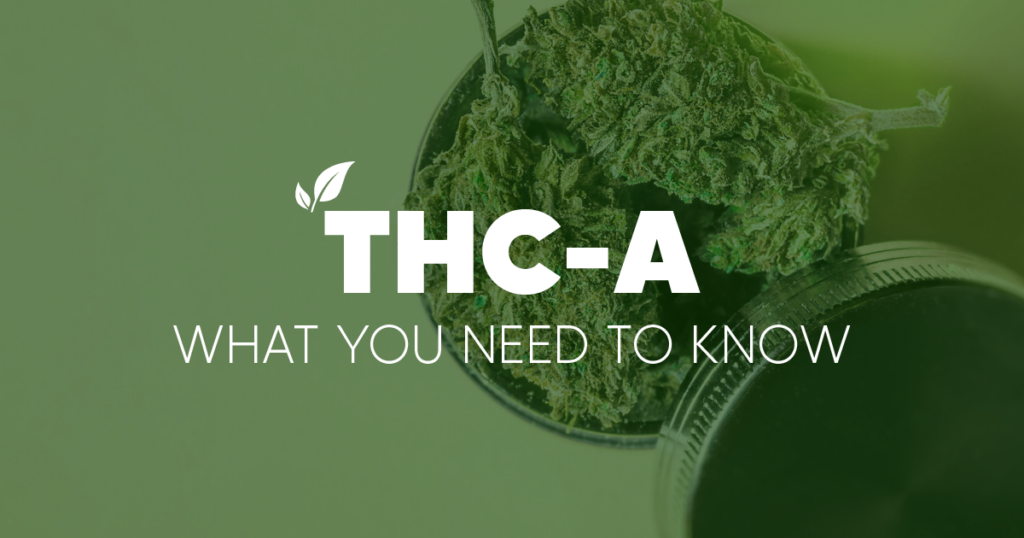 What You Need to Know About THCA