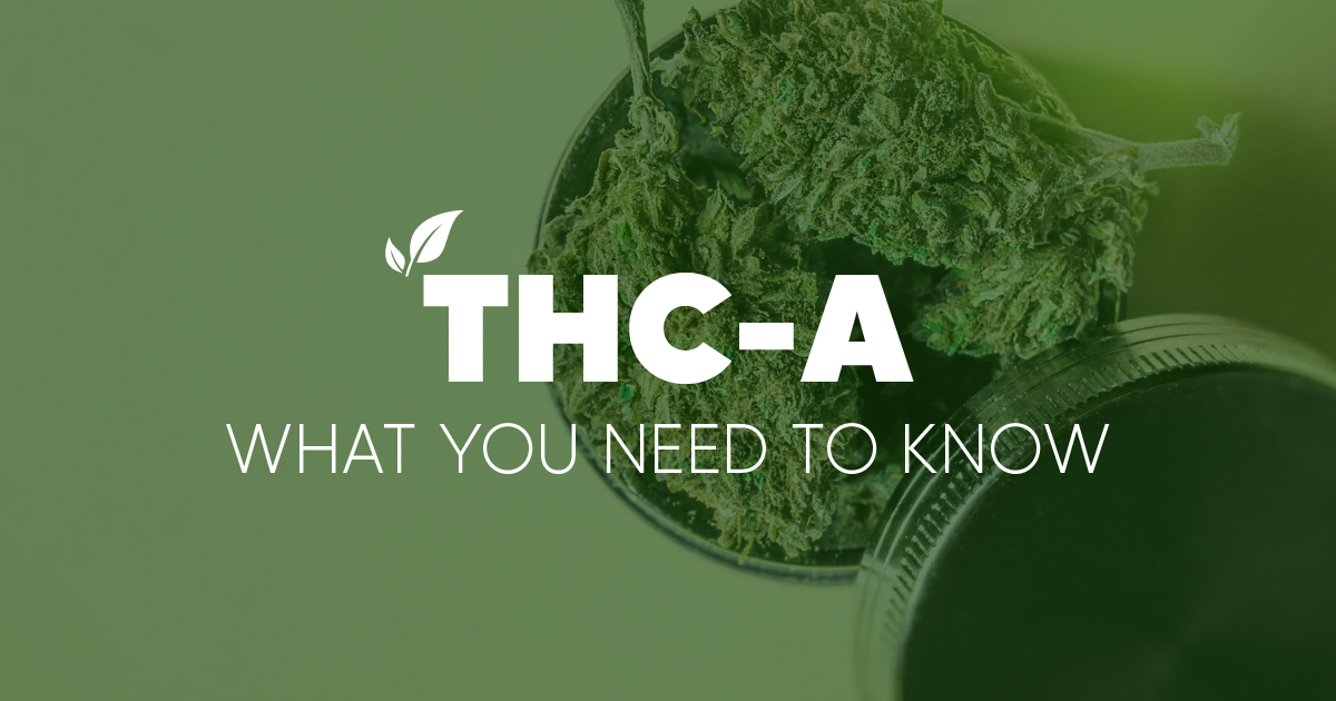 What You Need To Know About THCA | Pinnacle Hemp