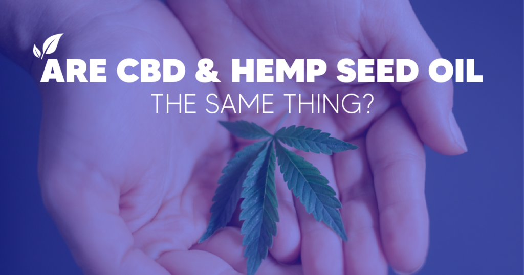 Are CBD Oil and Hemp Seed Oil the Same Thing?