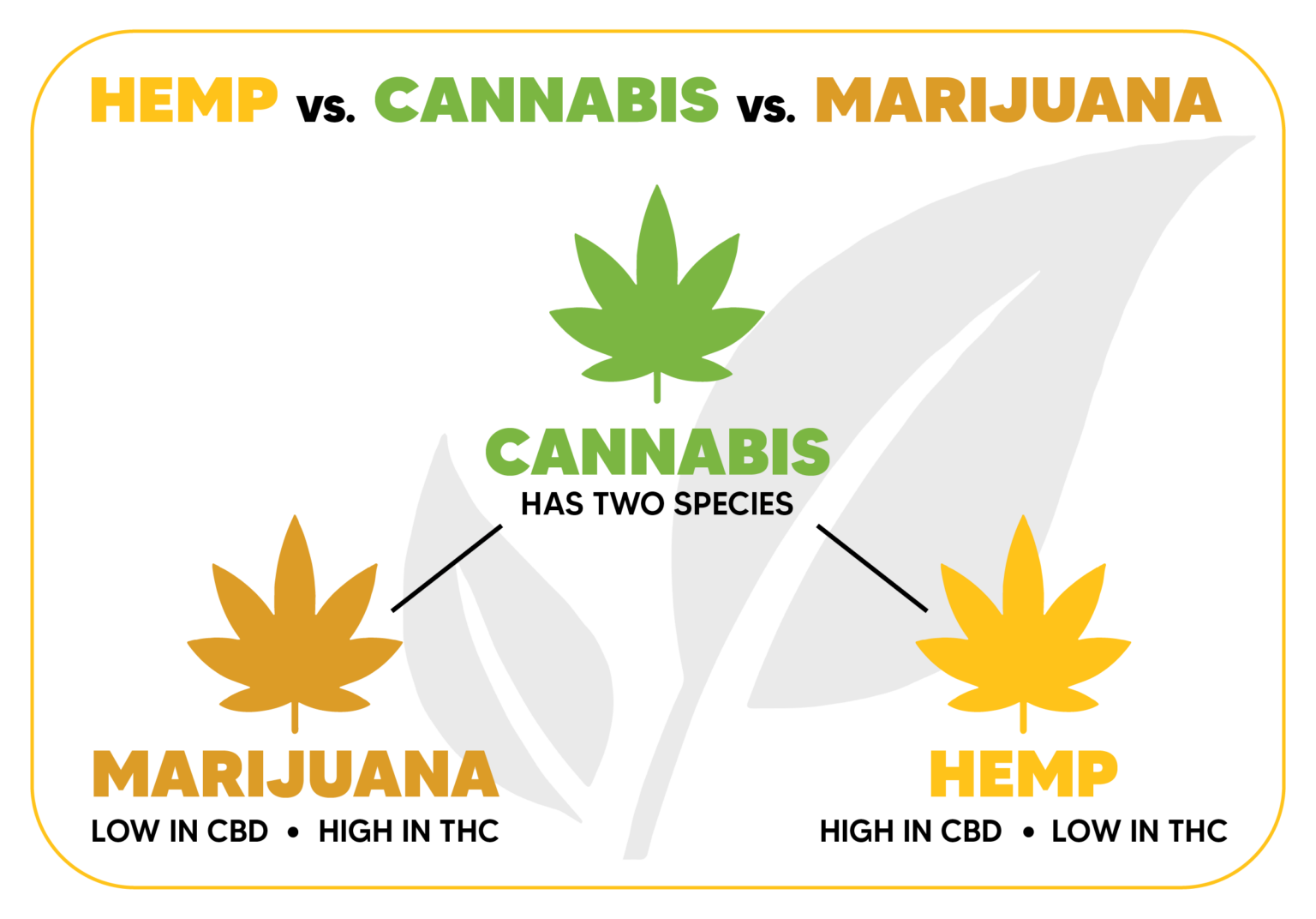 Hemp versus Cannabis versus Marijuana