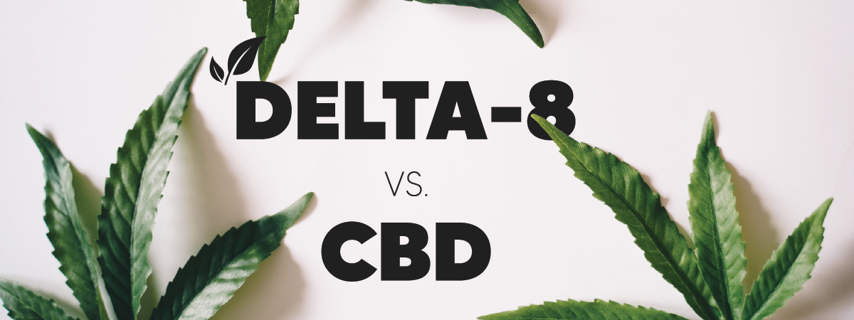 Delta 8 VS CBD: What’s The Difference? | Pinnacle Hemp