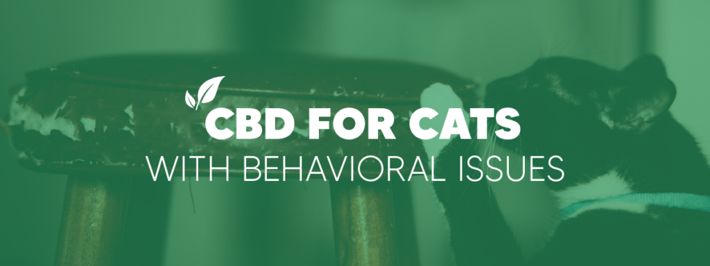 cbd for cats behavioral issues