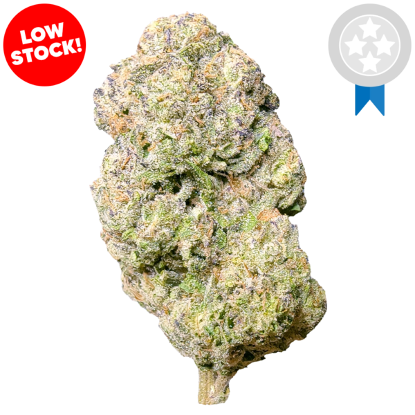 Pinnacle Hemp Chicago Runtz THCa flower nug on white background