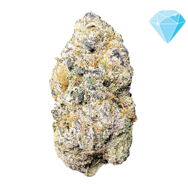 Watermelon Gumdrop THCA Flower