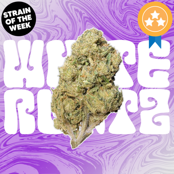 White Runtz THCA Flower