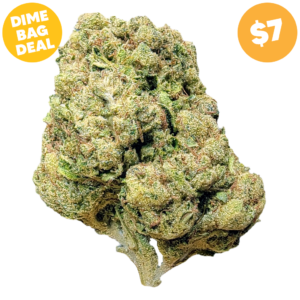 Pinnacle Hemp OG Kush THCa flower nug on white background