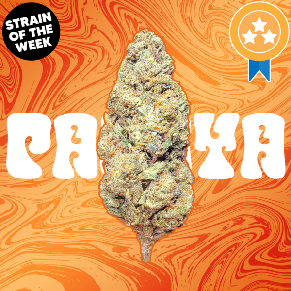 Papaya THCA Flower