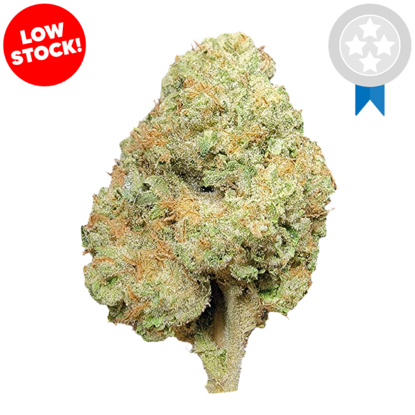 Pinnacle Hemp Gas Face THCa flower nug on white background