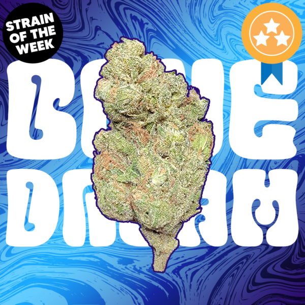 Blue Dream THCA Flower