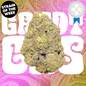 Pinnacle Hemp Candy Gas THCa flower nug on white background
