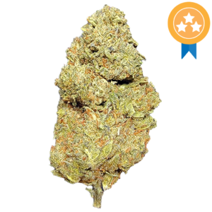Government Oasis THCA Flower