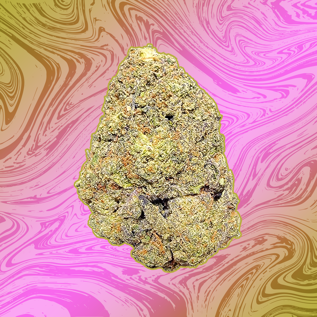 Pinnacle Hemp Candy Gas THCa flower nug on white background