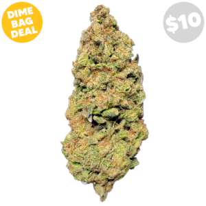 Pinnacle Hemp Purple Punch THCa flower nug on white background