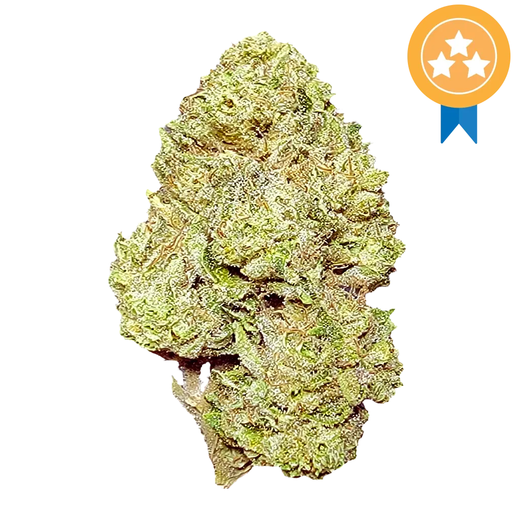 Gluttony THCA Flower