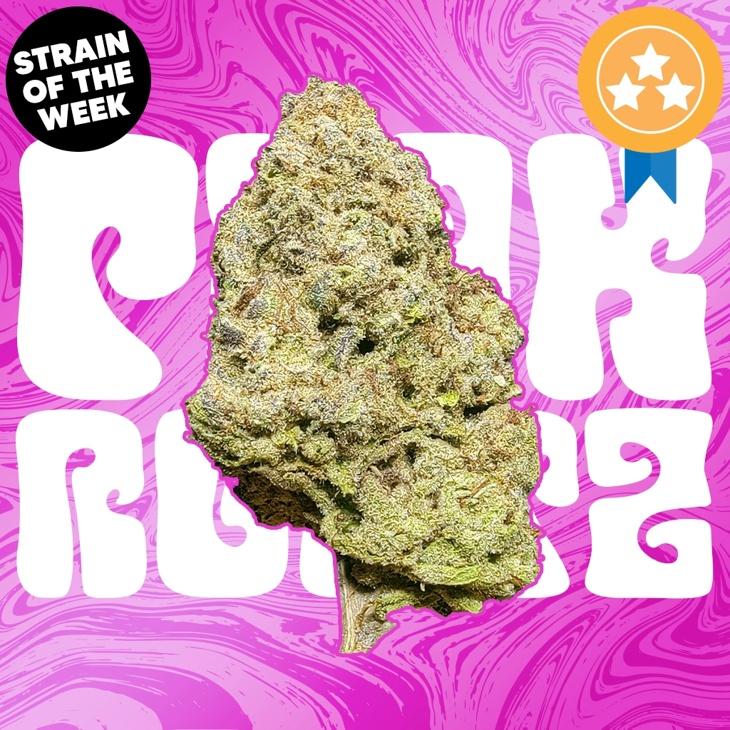 Pink Runtz THCA Flower