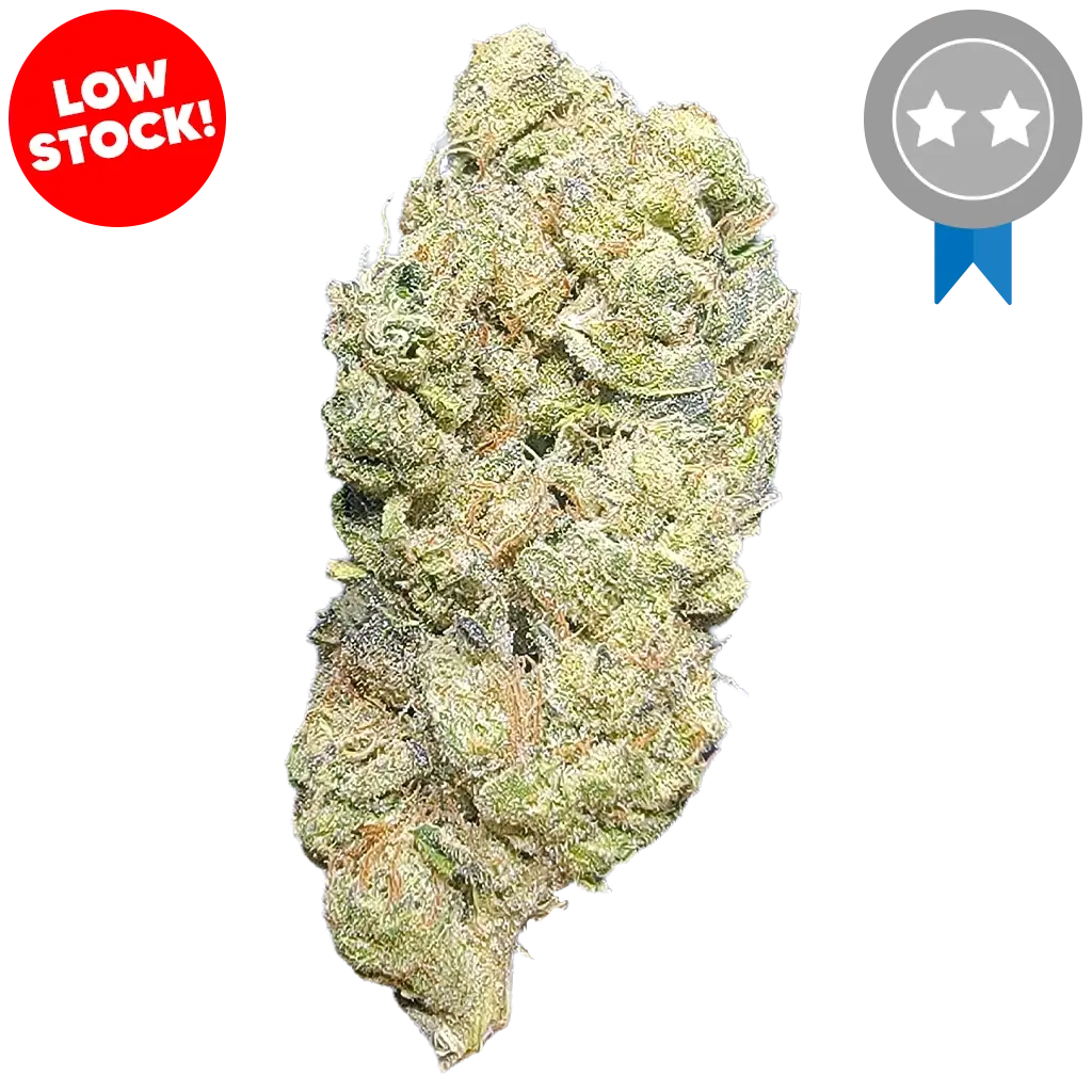 White Runtz THCA Flower