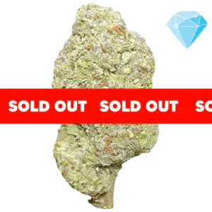 Hash Burger THCA Flower